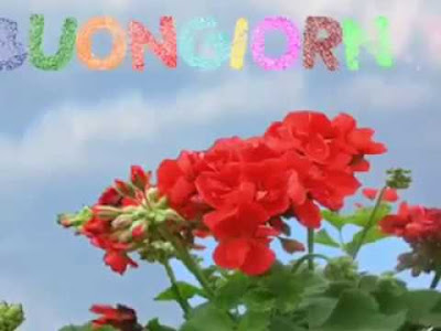 good-morning good-morning
