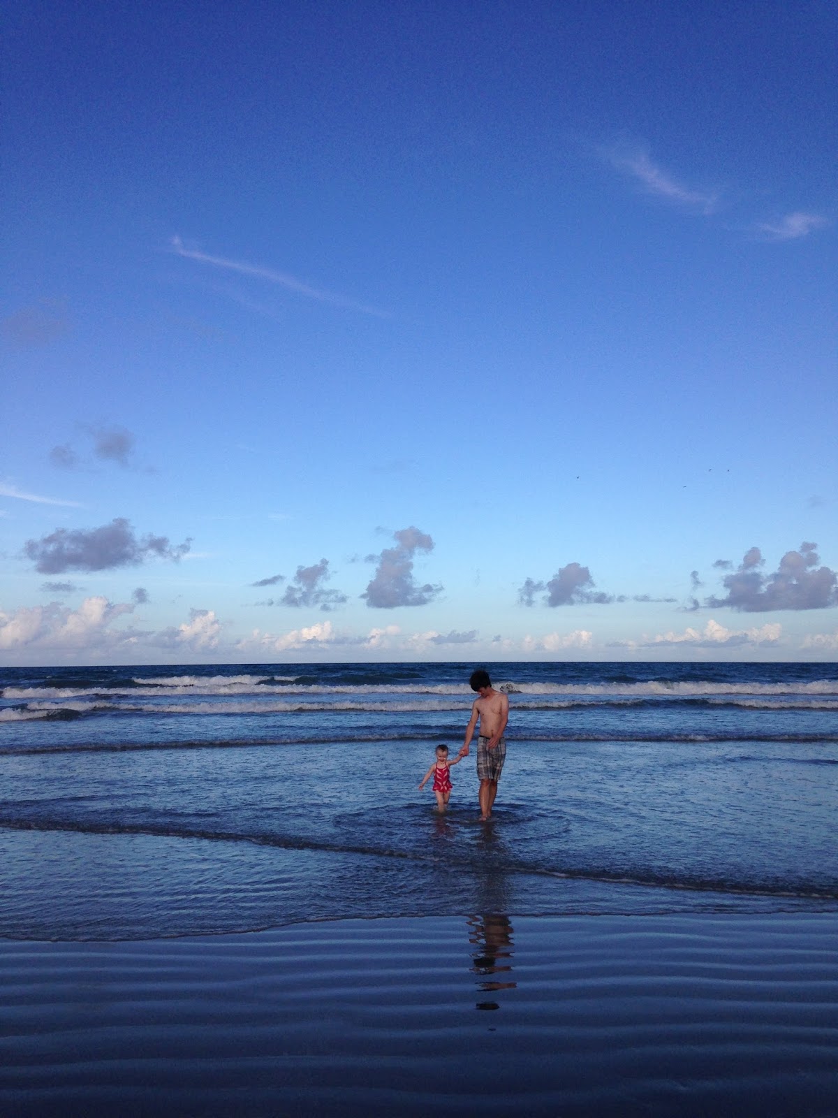 Feeding frenzy 5k new smyrna beach