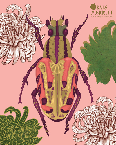 print & pattern: NEW WORK - kate merritt