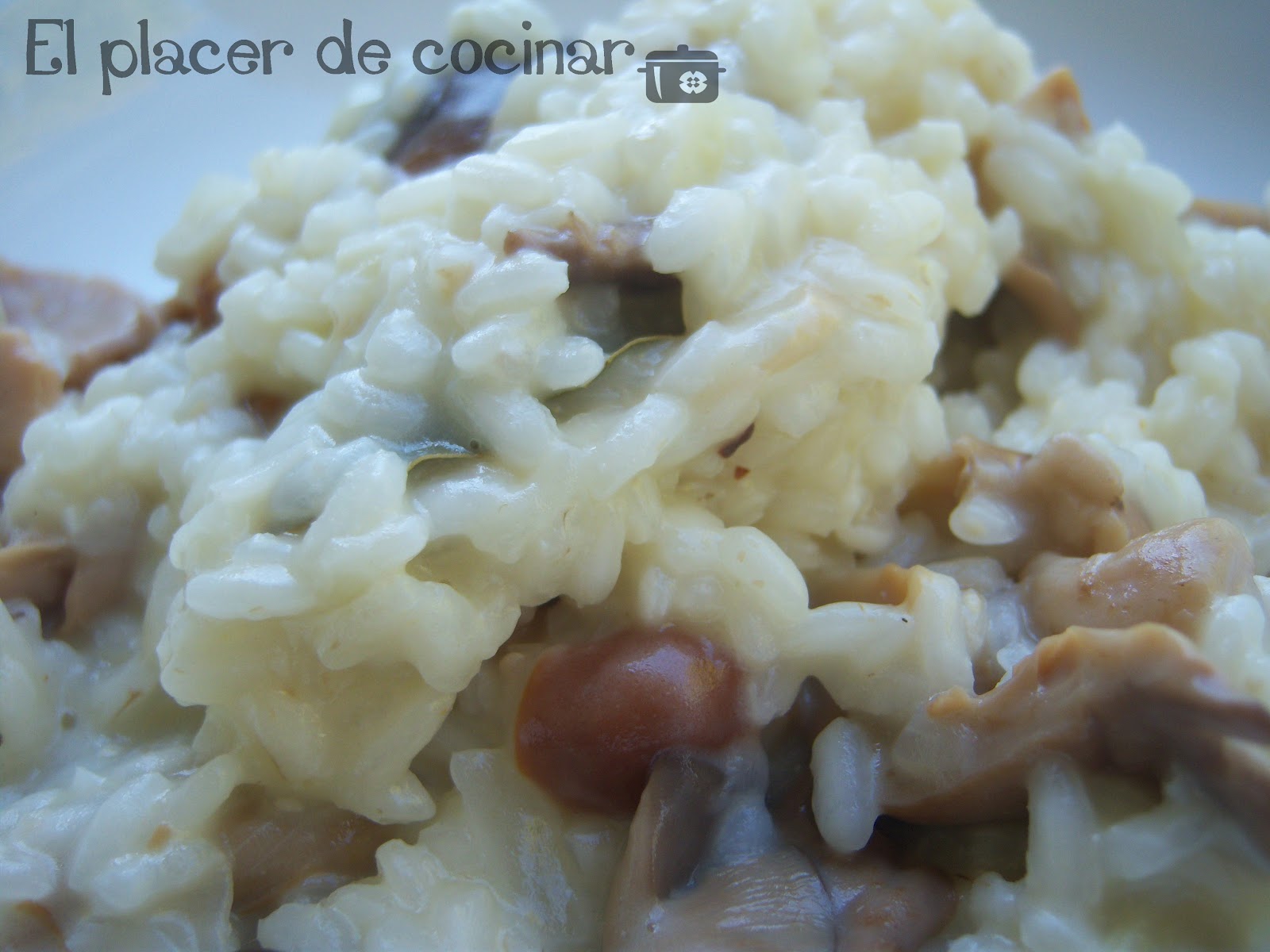 EL PLACER DE COCINAR RISOTTO CON SETAS Y QUESO AZUL
