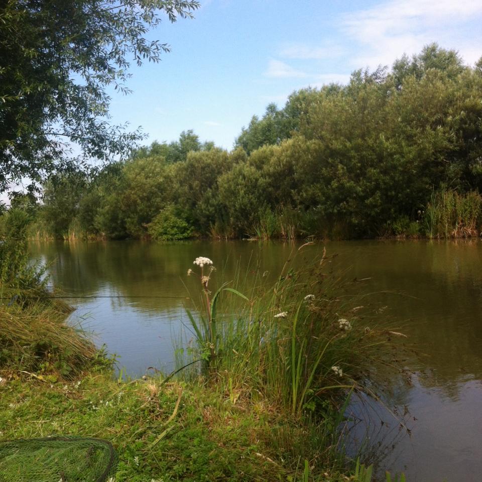 UK fishing venues Poppleton Lakes (Railway Lake) Venue Review
