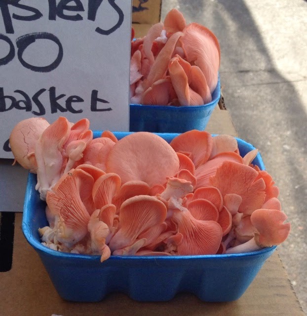 . Morel and Fiddlehead Fern Tart