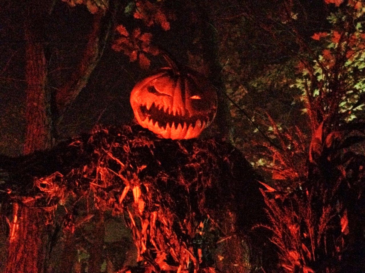 Halloween New England Halloween New England's Top Picks for October