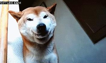 21916.gif