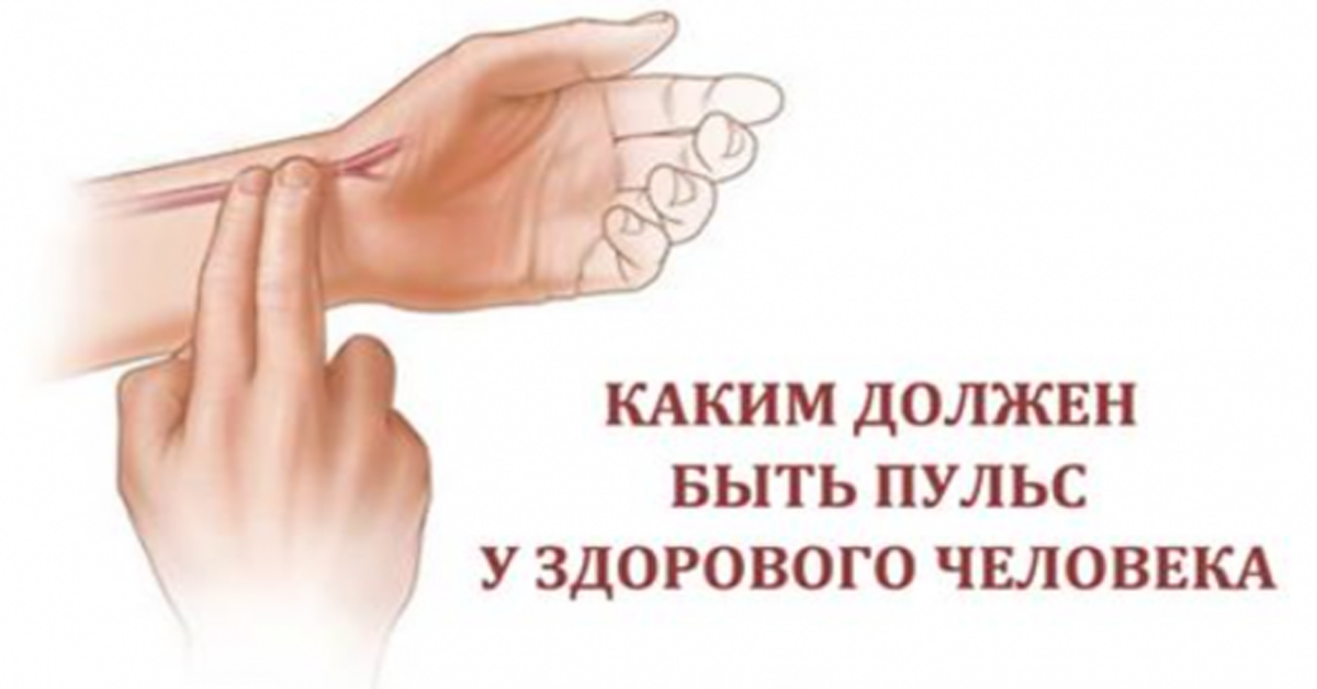 Какой должен быть пульс 57 лет. Какой должен быть пульс 57 лет