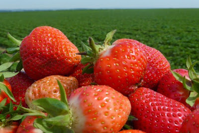 Derthuringer Informativ Aktuell Mit Radio Archiv Derthuringer