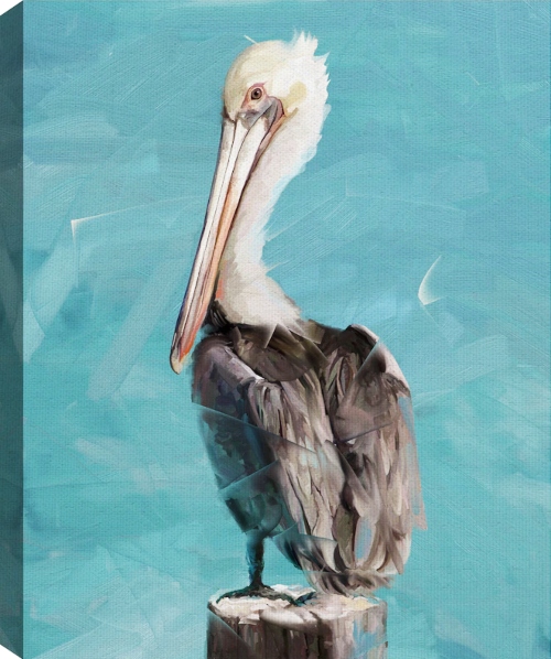 Pelican Canvas Art