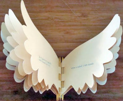 cg says [something loudly]: Wing books 1 and 2