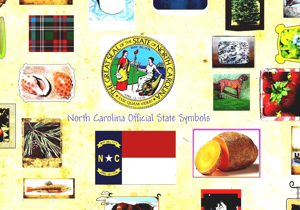 List Of South Carolina State Symbols South Carolina State Gem
