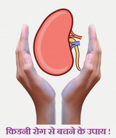 Tips to prevent Kidney disease in Hindi