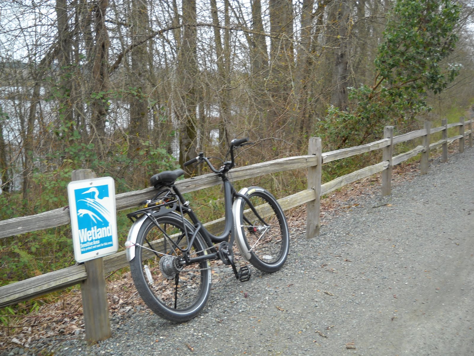Kent's Bike Blog 30DaysofBiking East Lake Sammamish Trail & Bike Lane