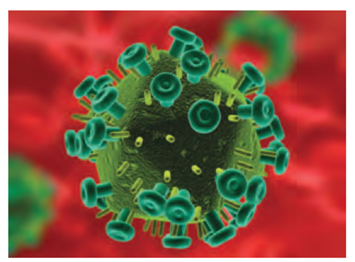 Pras Academy - SMP: Mengetahui Penyakit-Penyakit Pada Sistem Reproduksi