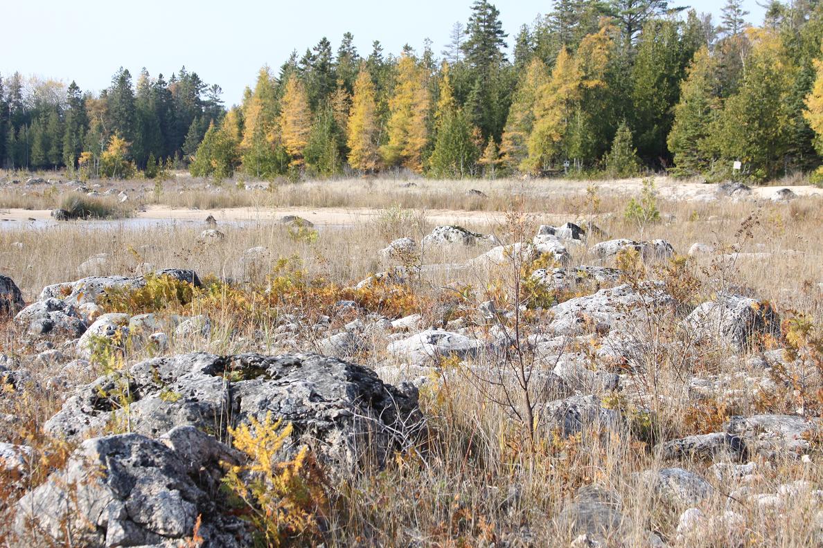Michigan Exposures On the Way to De Tour Village