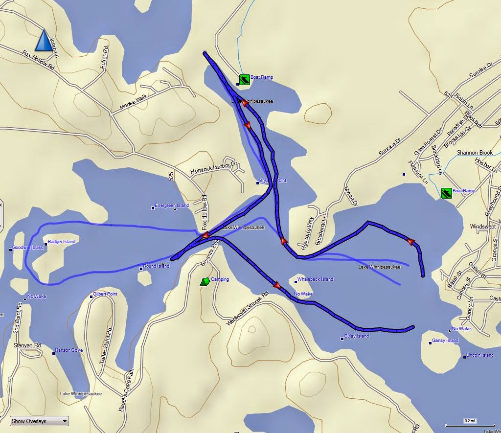 The Kayaking Bison of New Hampshire Lake Winnipesaukee