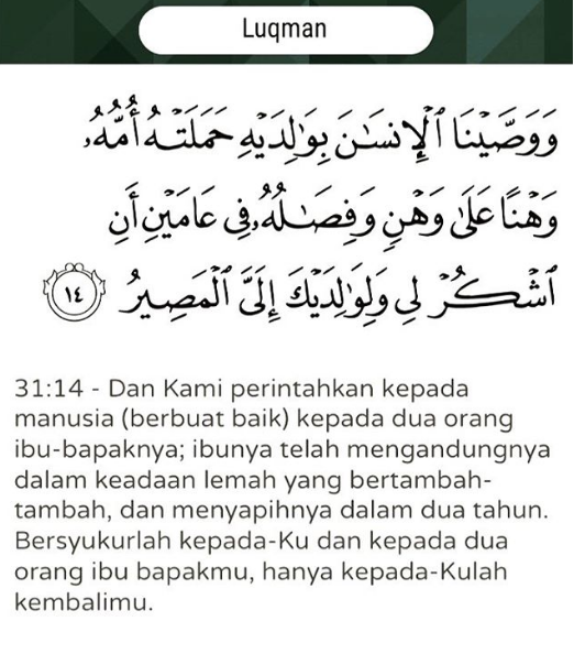 Arti Dari Surah Al Luqman Ayat 14 Lacmymages
