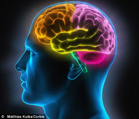 Scientists Claim Human Brain May Have Reached Full Capacity