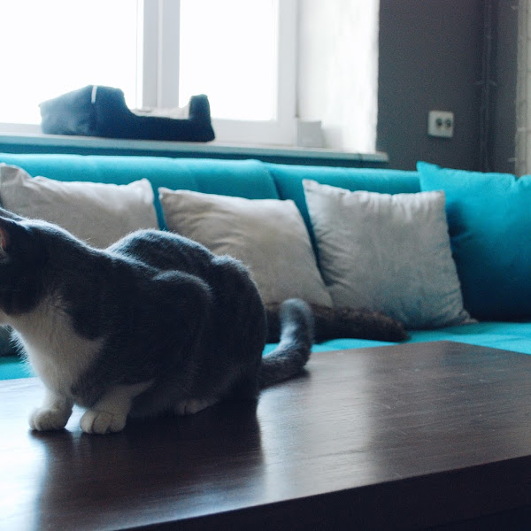 Uus diivan (ja enam mitte nii uus diivanilaud)