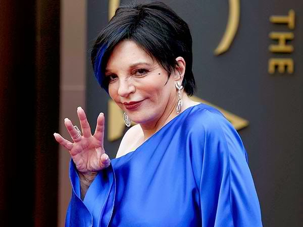 Liza Minnelli Blue Hair At The 2014 Oscars (PHOTOS)