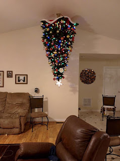 Gatos vs. árboles de Navidad