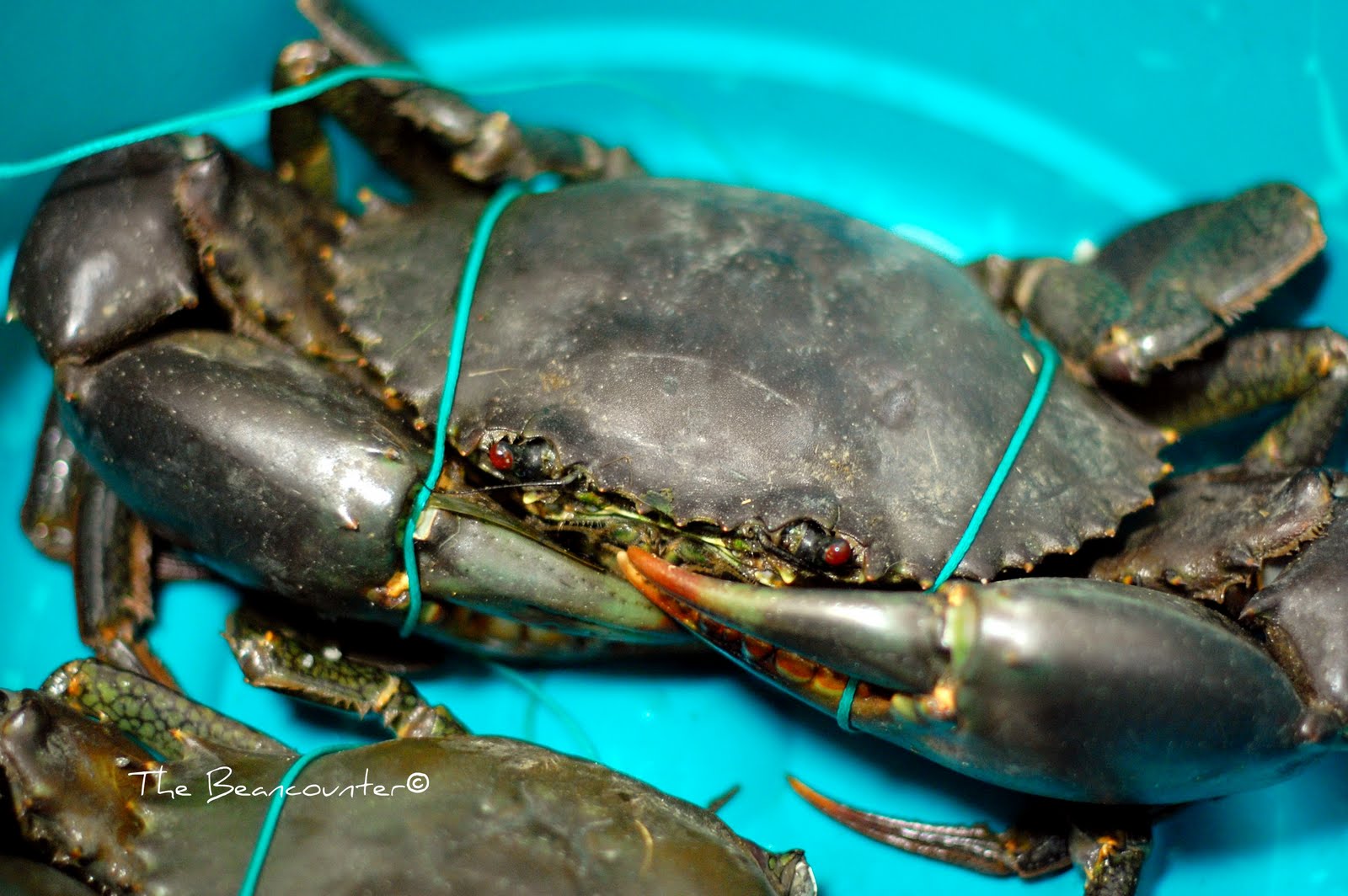 The Beancounter Salt & Pepper Mud Crab ala Beancounter