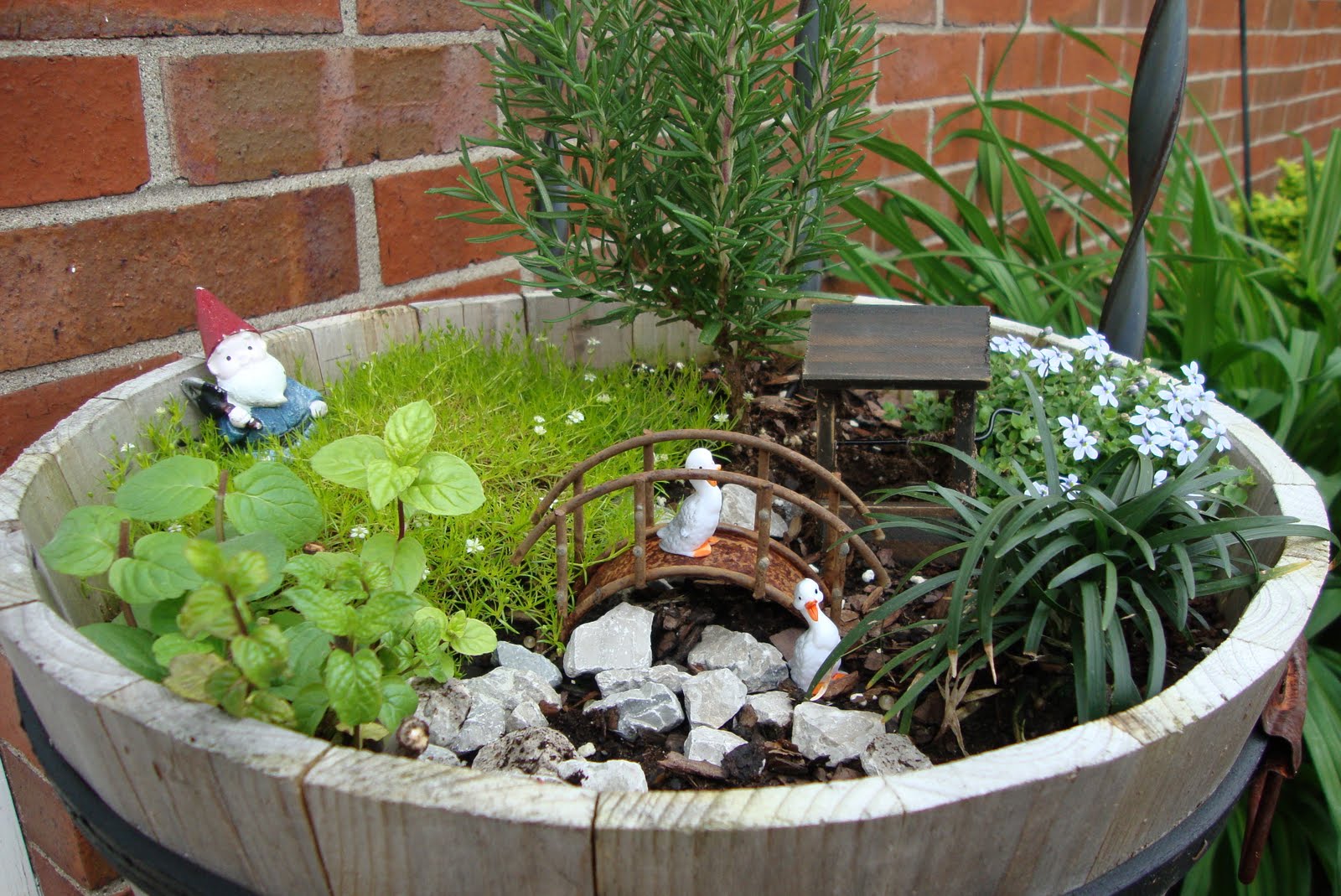 Annie's Small World: Miniature Container Gardens