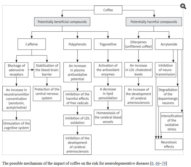 Epiphany OAT3 inhibitors for Bumetanide Probenecid, but also Aspirin