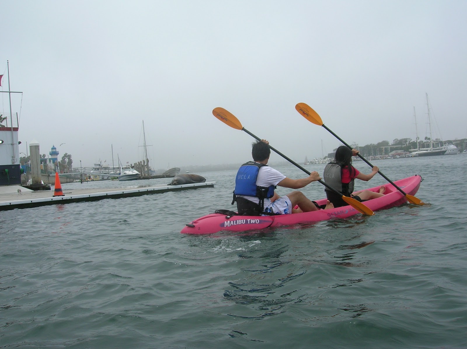 Kayaking Trip To Marina Del Rey Spring Quarter 2012 Bruin!
