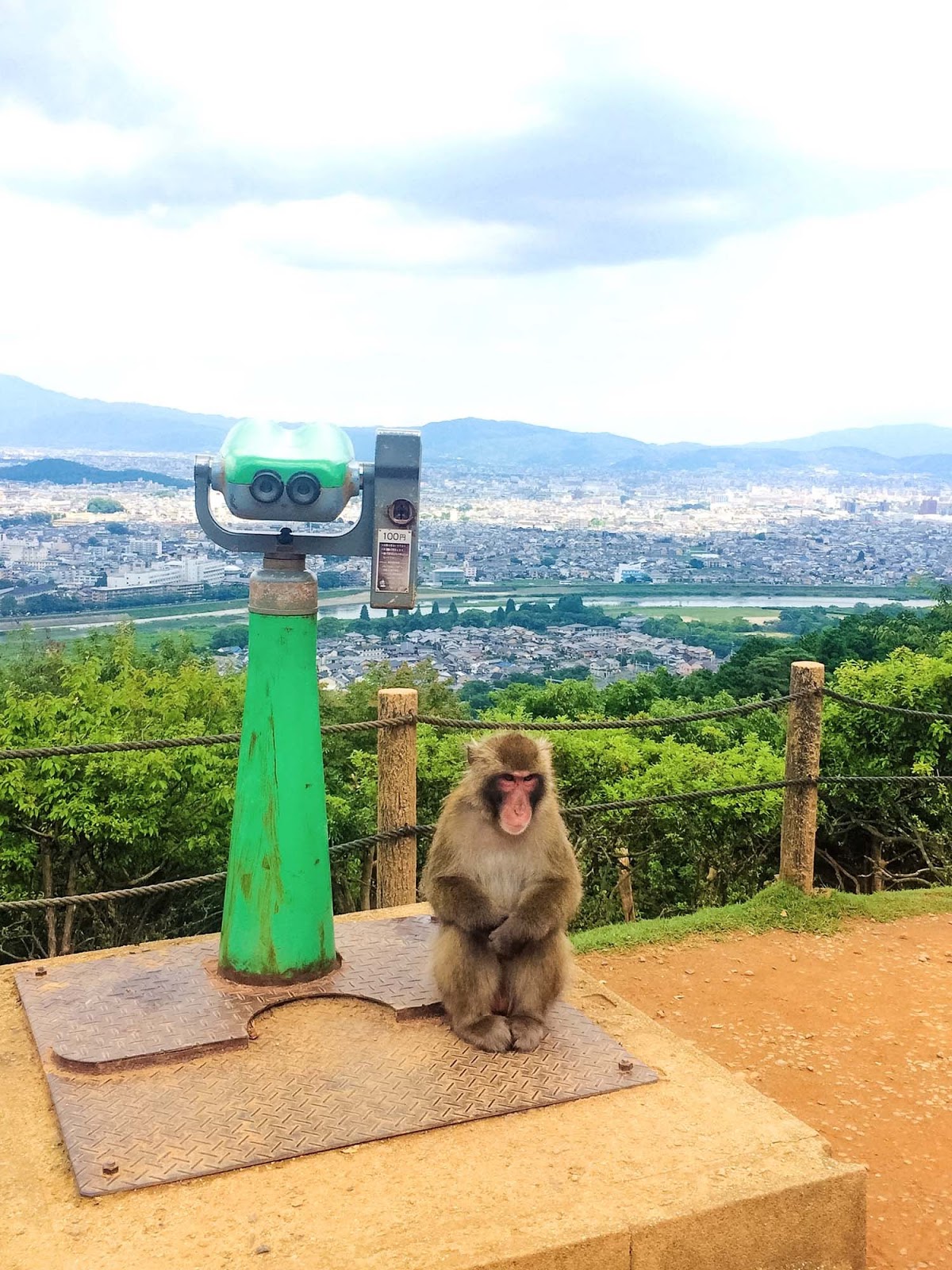 iwatayama monkey park