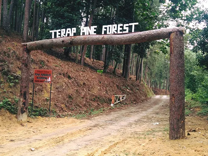 3-tarikan-utama-di-terap-pine-forest-kulim-kedah