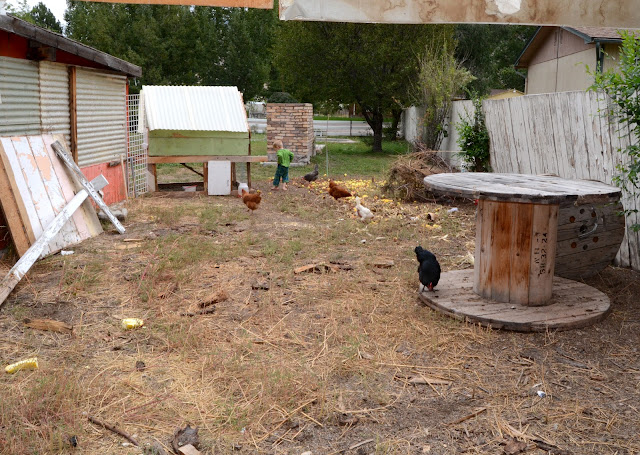 chicken coop