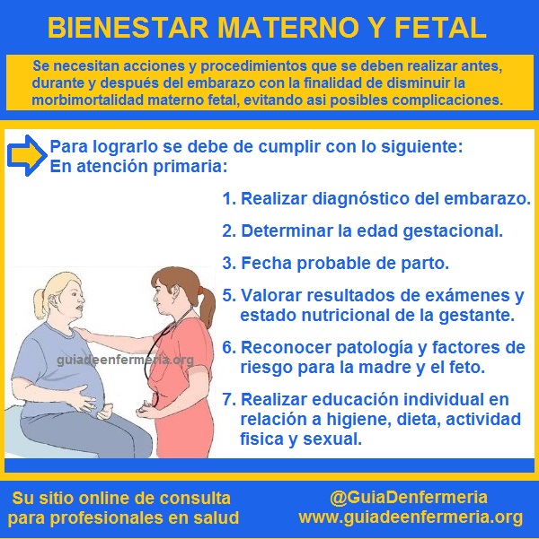 BIENESTAR MATERNO Y FETAL - GUÍA DE ENFERMERÍA