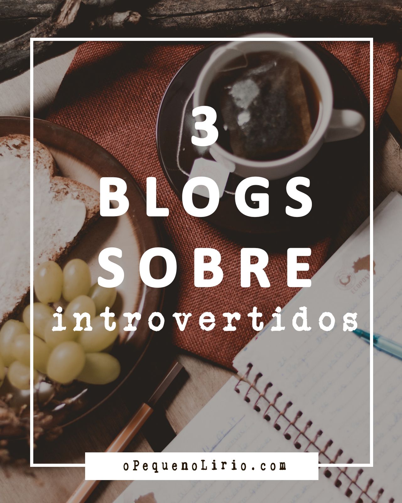 3 blogs sobre introversão que eu acompanho