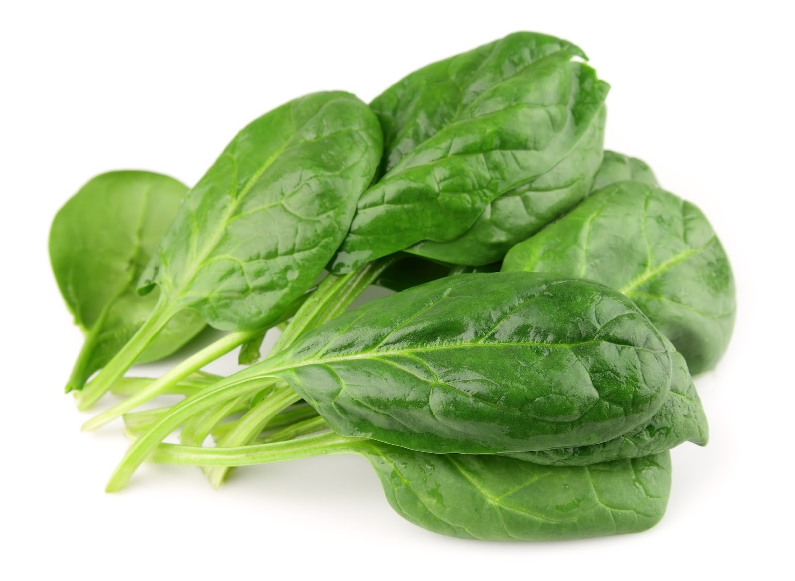 Vegetables World : Spinach | PHYTOALEXIN