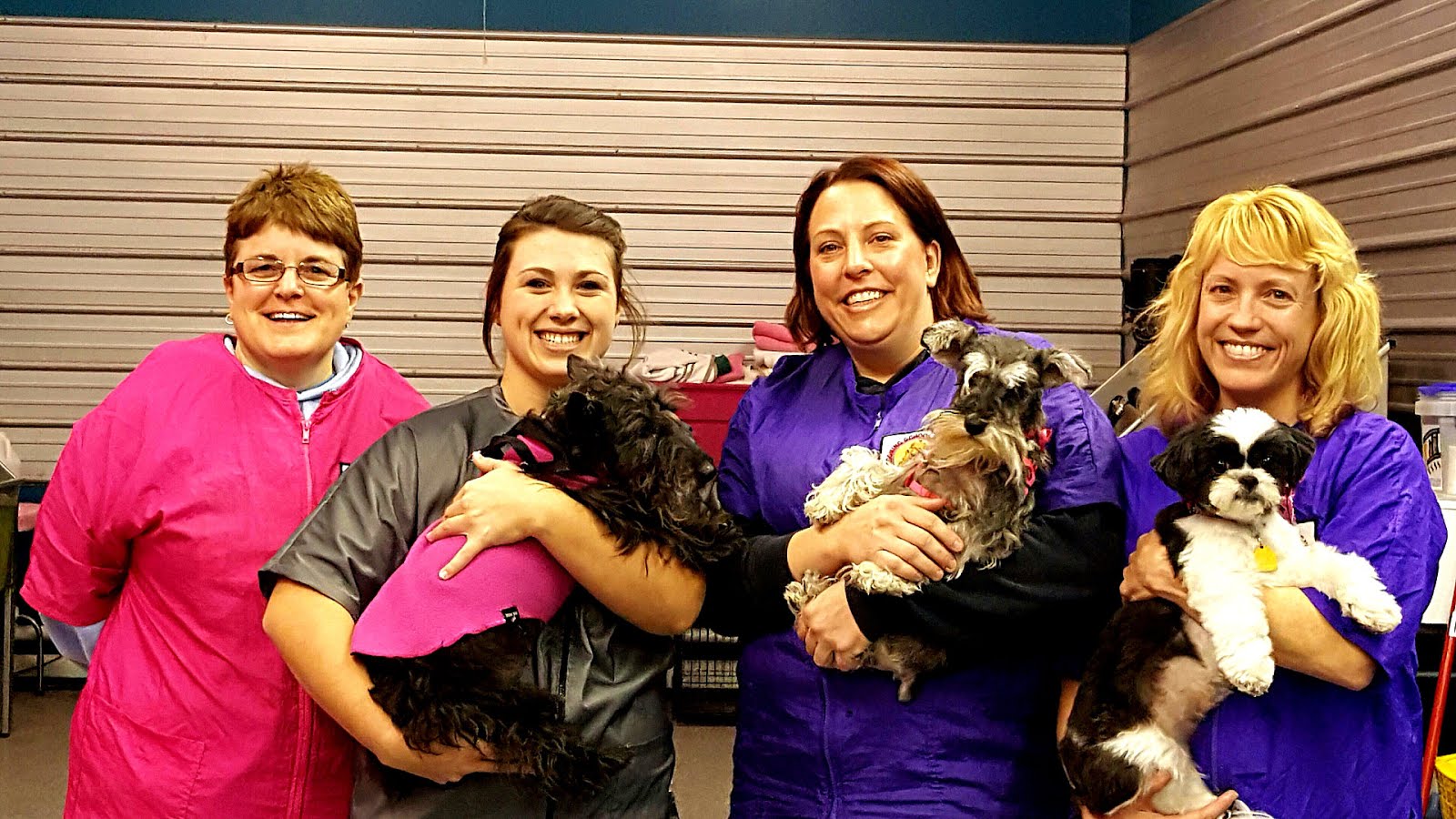 Dog Grooming Schools In Indiana Dog Choices