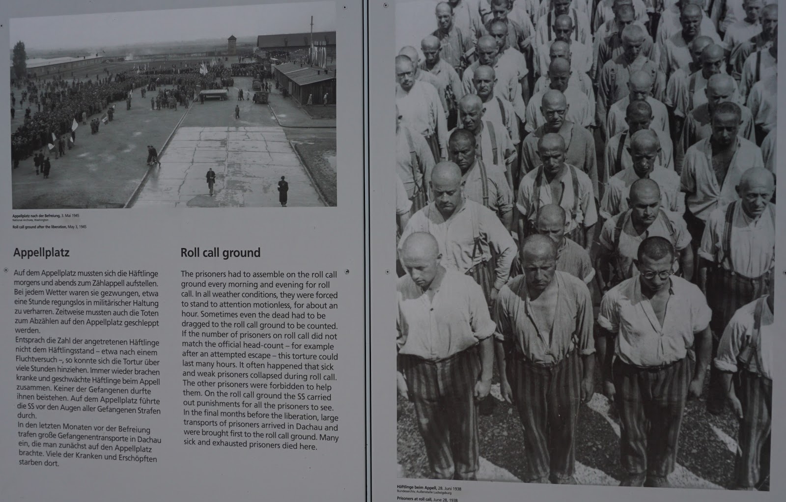Dachau Toplama KampÄ±