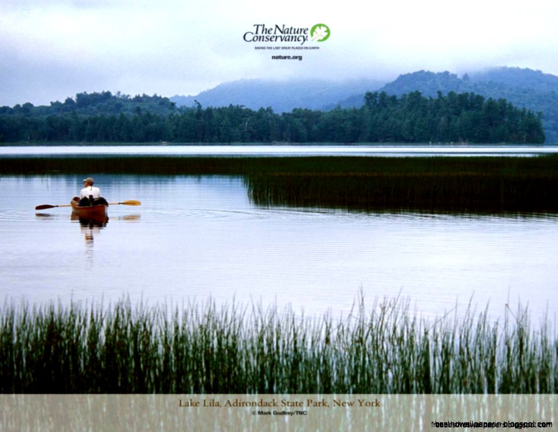 Nature Conservancy Screensavers  Free Best Hd Wallpapers