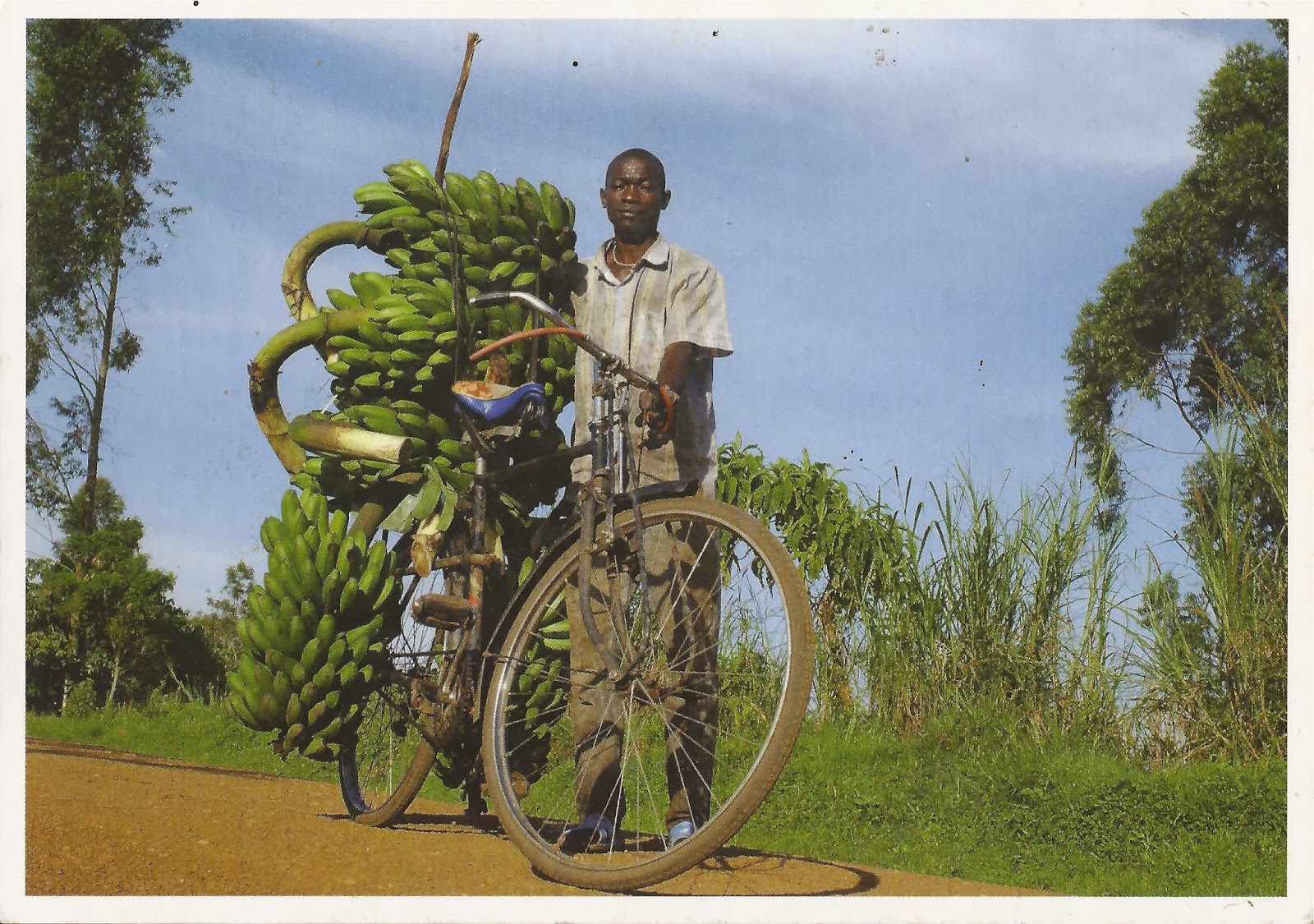 A Journey of Postcards How to transport bananas in Uganda