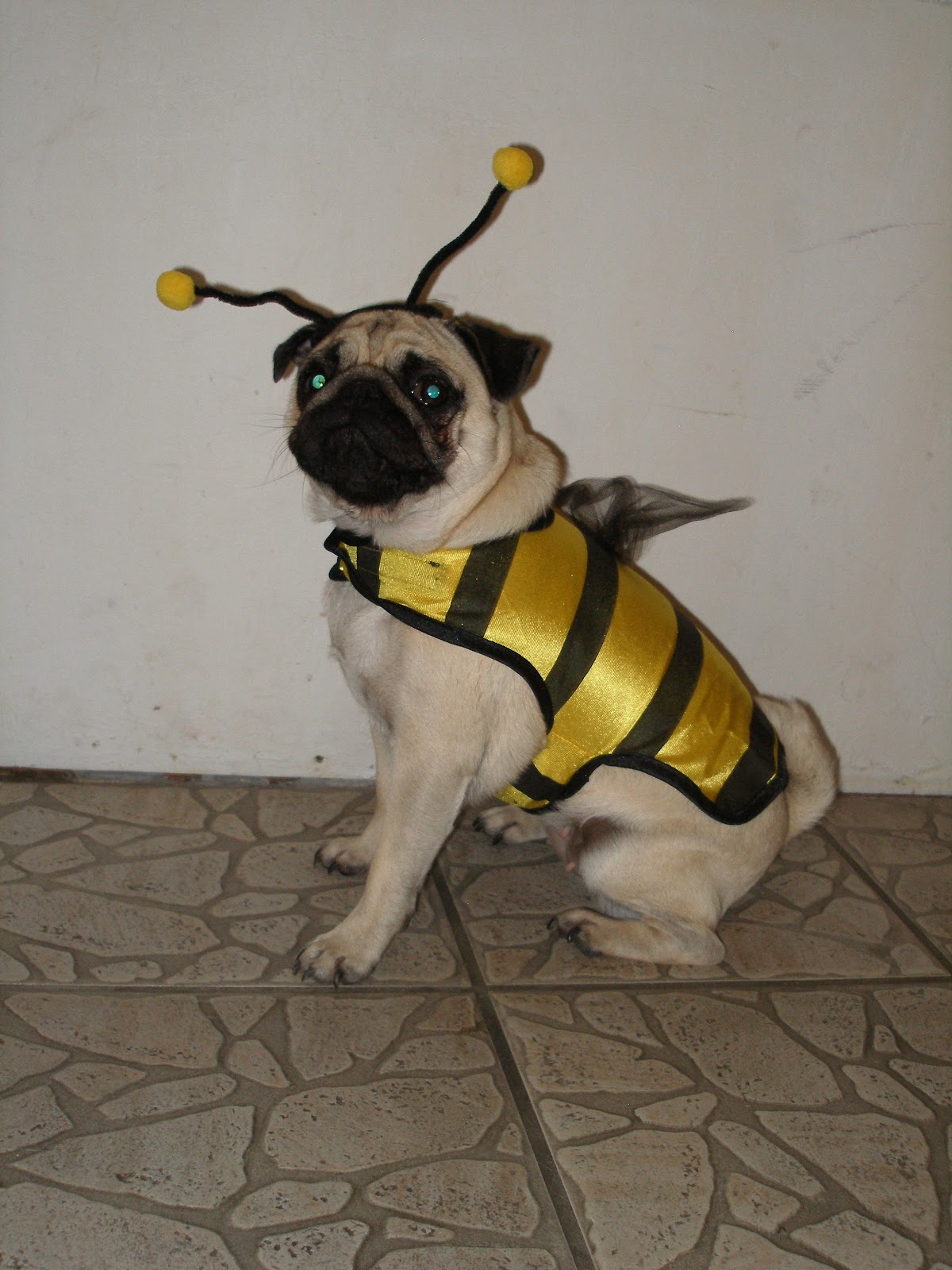 A Bowl of Noodles© Costumes Past