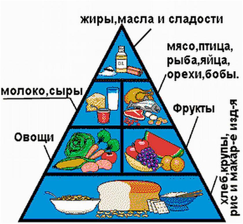 Укажите уровни пищевой пирамиды начиная с продуктов. Пирамида питания пищевая пирамида школьника. Пирамида рационального питания схема. Рацион правильного питания пирамида. Пирамида здорового питания для детей младшего школьного возраста.
