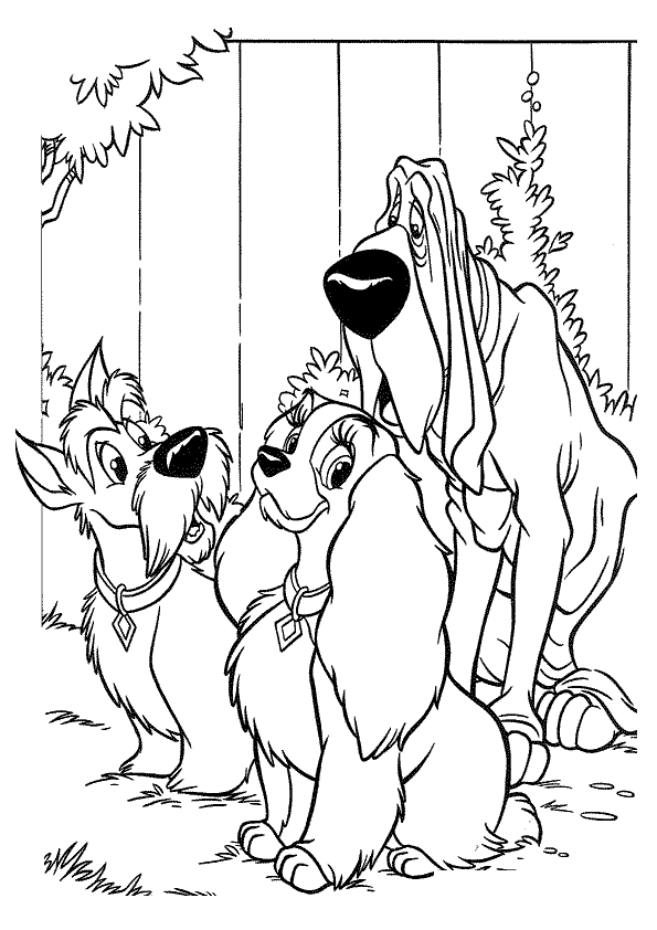 Coloring pictures | photo