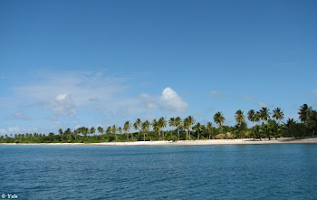 Isla Saona