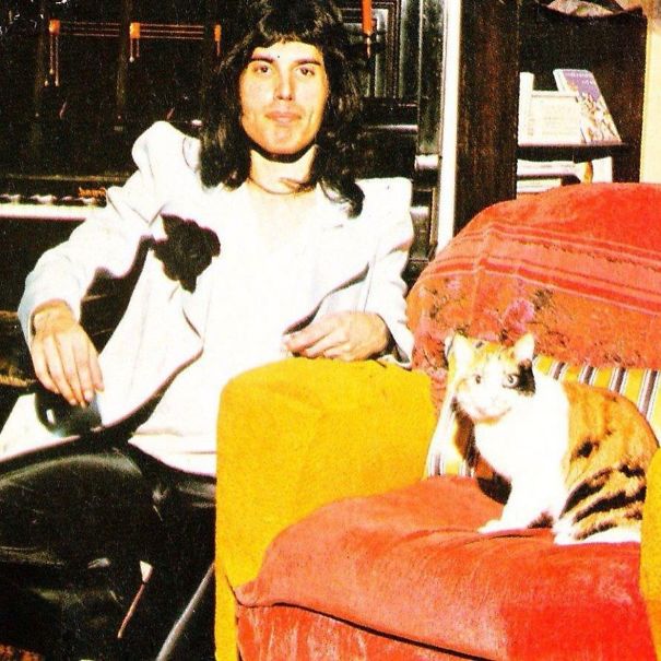 16 Rare Photos Of Freddie Mercury And His Cats Show That He Loved Them As His Own Children