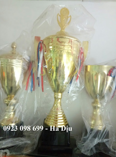 Hoa, quà, đồ trang trí: Chuyên cung cấp cúp thể thao, bán cúp giải thưởng Z734851522535_5d3d0e64225730ab5aaa44900d671559