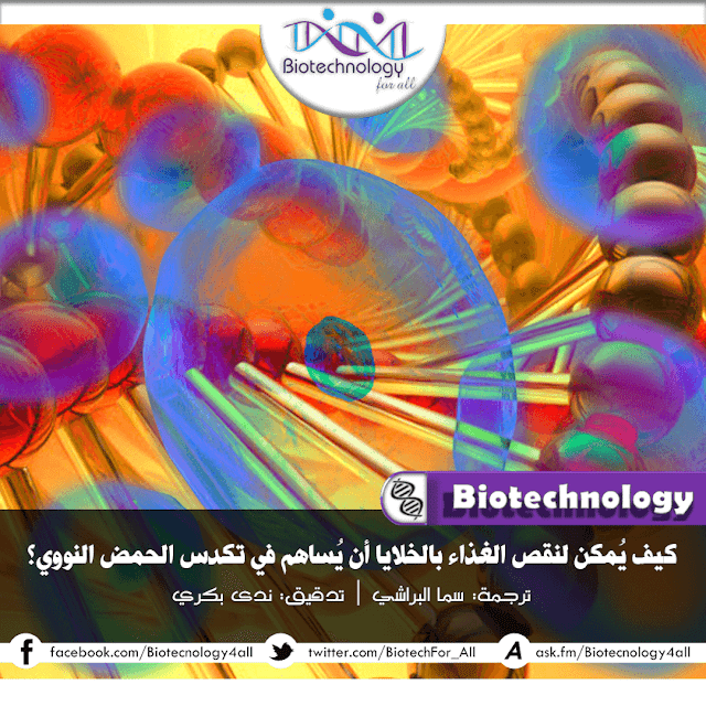 دراسة تكشف عن أن تجويع الخلايا يؤدي إلى تكدس وضغط حمضها النووي! دراسة تكشف عن أن تجويع الخلايا يؤدي إلى تكدس وضغط حمضها النووي!