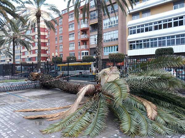 Quitan la alerta por viento en Canarias Quitan la alerta por viento en Canarias