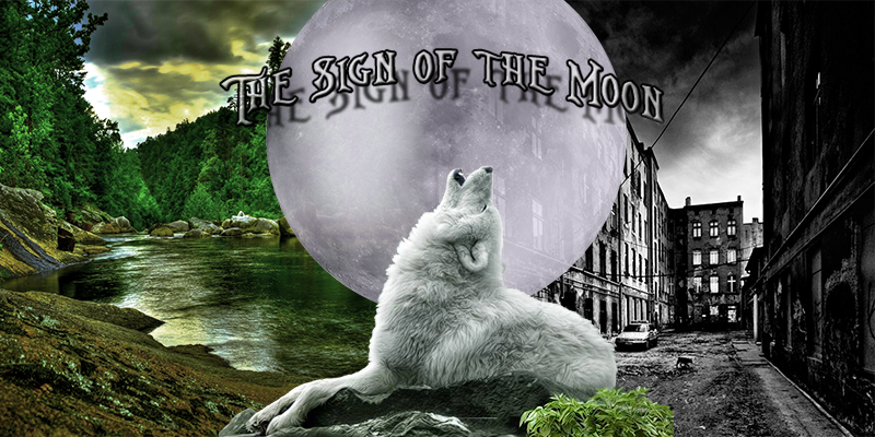 THE SIGN OF THE MOON