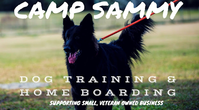 Sammy the Dog Trainer