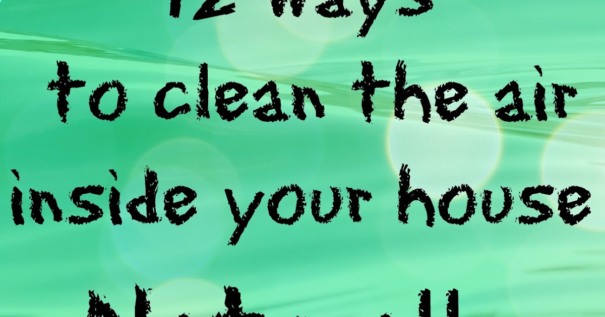 12 Natural ways to clean the air inside your house! Feathers in the woods