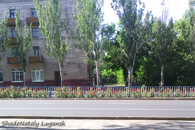 Цветы в Луганске