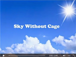 Sky Without Cage
